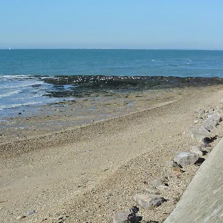 Face A La , L Artiste Ambleteuse