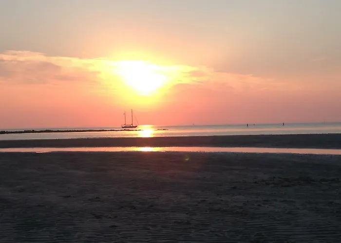 Face A La , L Artiste Villa